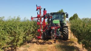 PFSI aLmendro superintensivo Toledo 01 poda formacion almendro