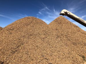 Precio almendra en la produccion de 2020