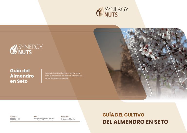 579 business cover page template