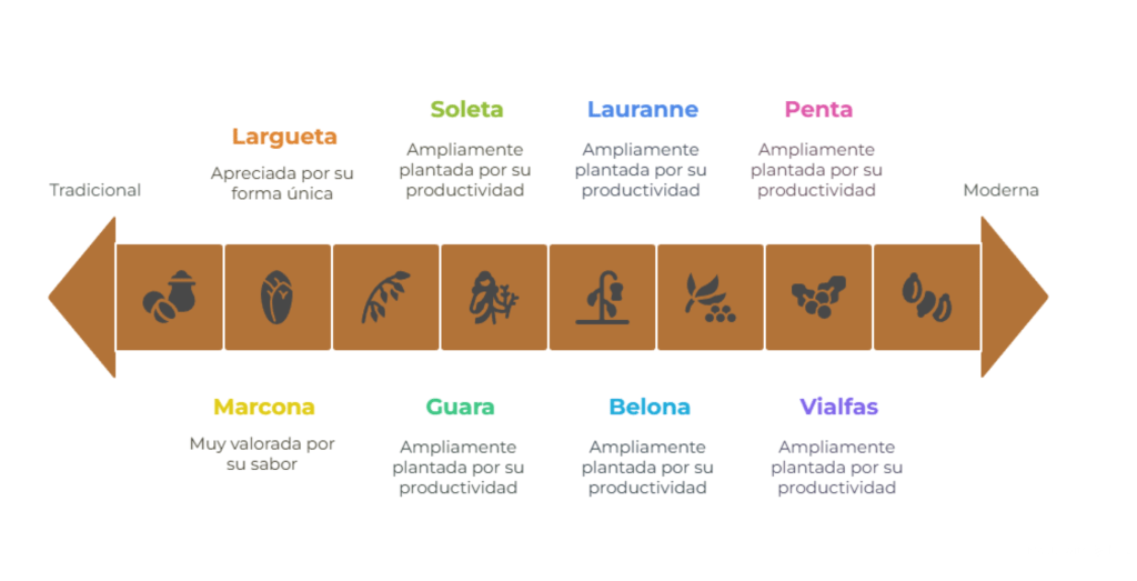 Comparación de variedades de almendra tradicionales y modernas. 