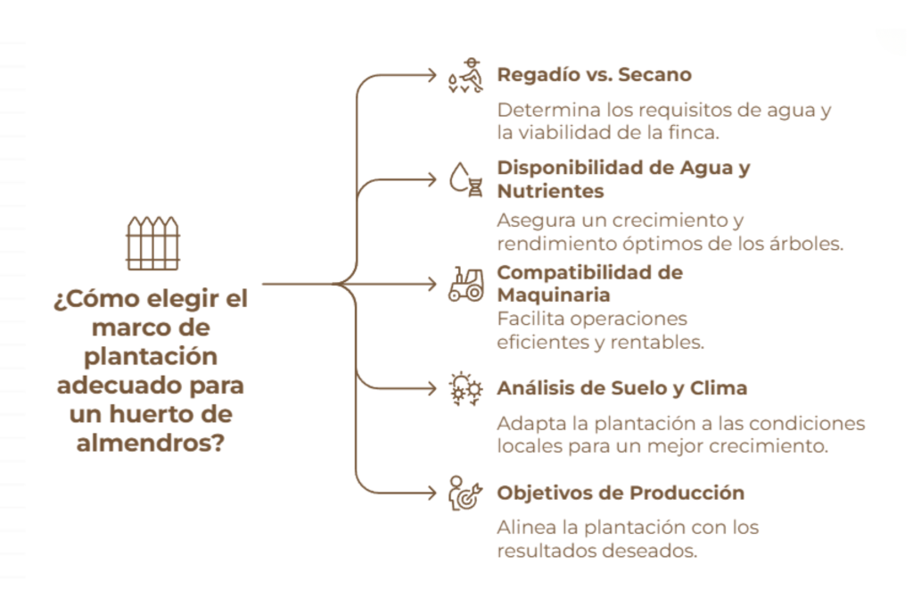 Consejos para elegir bien tu marco de plantación almendro en seto