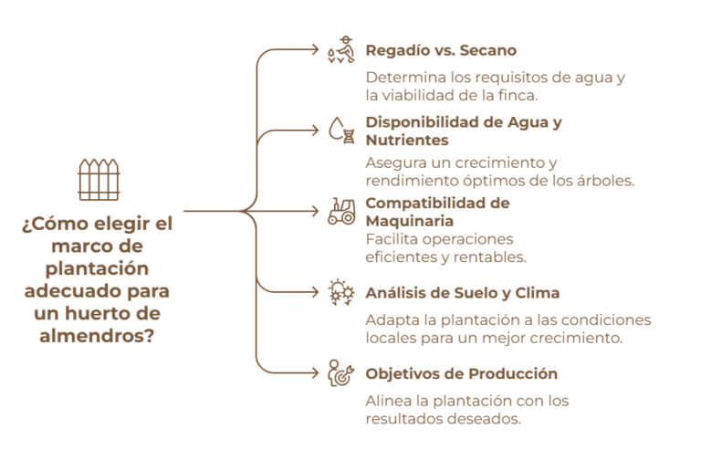Consejos para elegir bien tu marco de plantación almendro en seto
