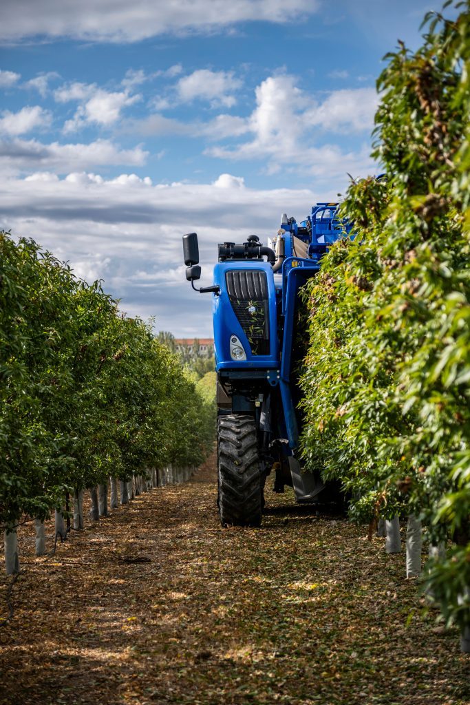 03fc785b 9192 4157 8b78 b77f7dd56bf8 03fc785b 9192 4157 8b78 b77f7dd56bf8