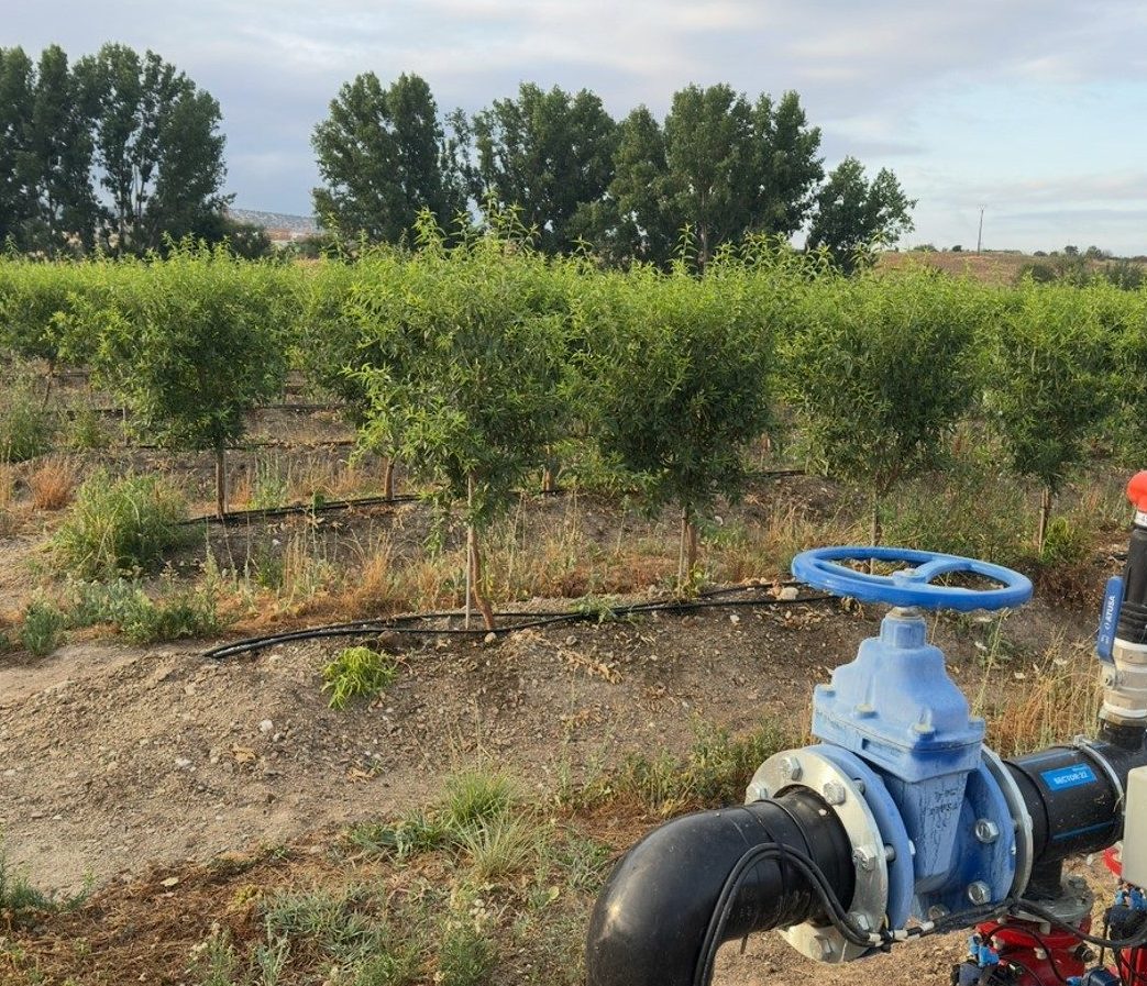 Imagen2 edited Imagen2 edited