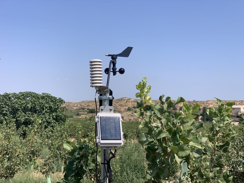 IMG 3042 Estación meteorológica en una plantación experimental de pistacho en seto para el seguimiento del clima y el manejo del riego.