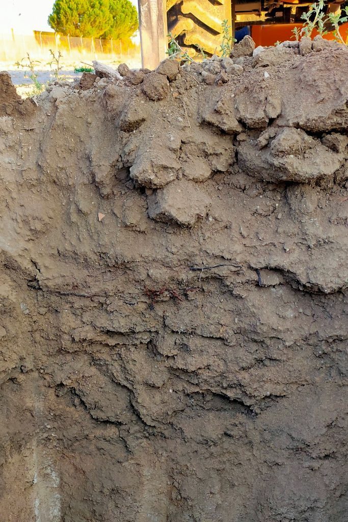 04 perfil suelo arenoso 1 04 perfil suelo arenoso 1