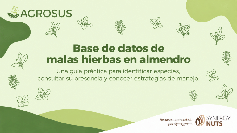 Agrosus