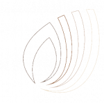 Logo blanco Synergynuts